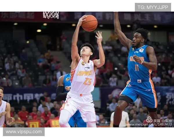 今晚深圳对阵四川大名单公布 贺希宁王浩然出战段睿骐担任中心