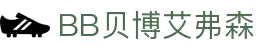 BB贝博艾弗森(体育科技有限公司)官方网站